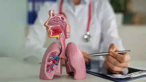 What are the 7 primary lungs functions?